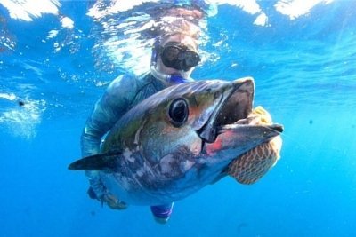 Fishing in Costarica